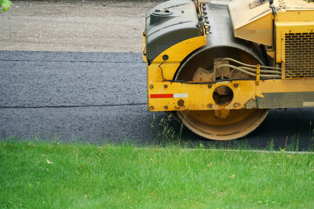 Driveway Maintenance Services in Progreso, TX